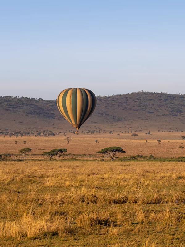 Thingos To Do In Serengeti